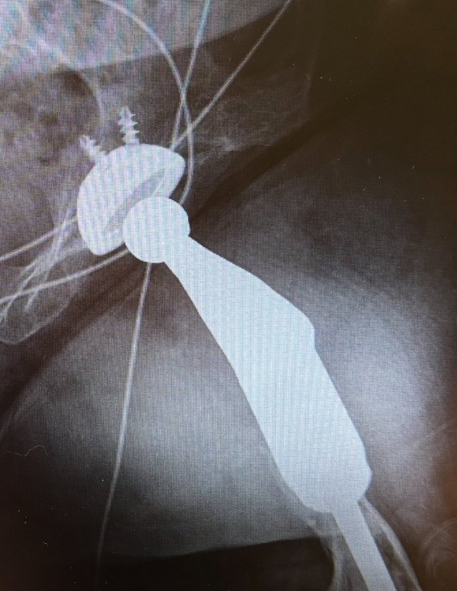 Device Nation tweet media