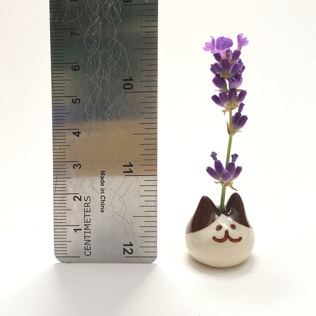 Been making mini "whisker pots" that can also be used as tiny plant pots!