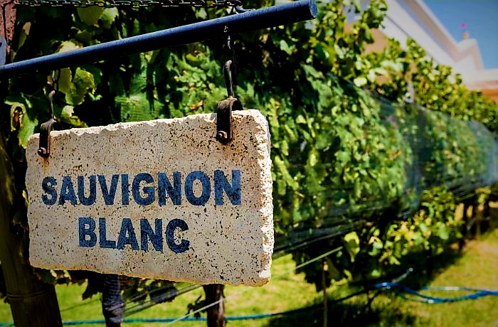 wineworldnews (@wineworldnews) on Twitter photo The Most Expensive Sauvignon Blancs of 2025 tinyurl.com/4vmsdjnk via <a href="/WineSearcher/">Wine Searcher</a> #sauvignonblanc #wine #wineworldnews #winelovers The Most Expensive Sauvignon Blancs of 2025 tinyurl.com/4vmsdjnk via <a href="/WineSearcher/">Wine Searcher</a> #sauvignonblanc #wine #wineworldnews #winelovers