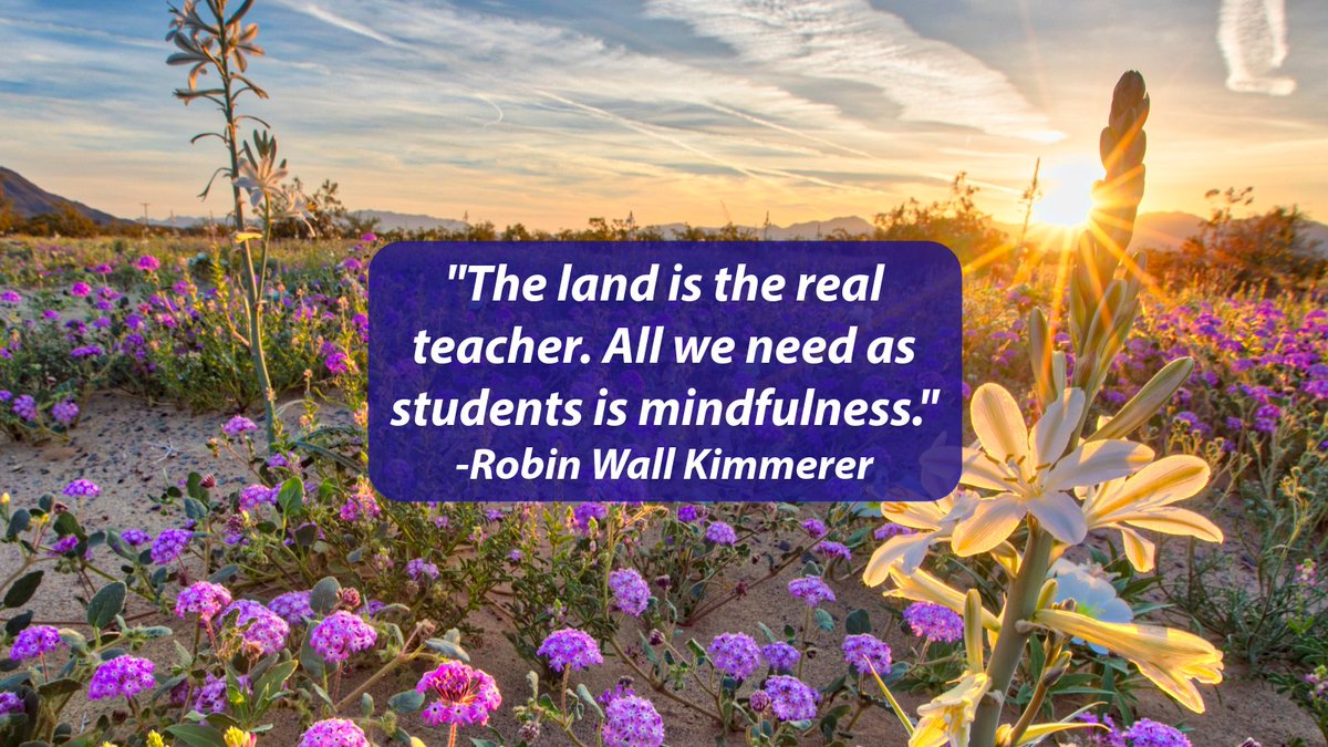 EnviroAction's tweet image. 