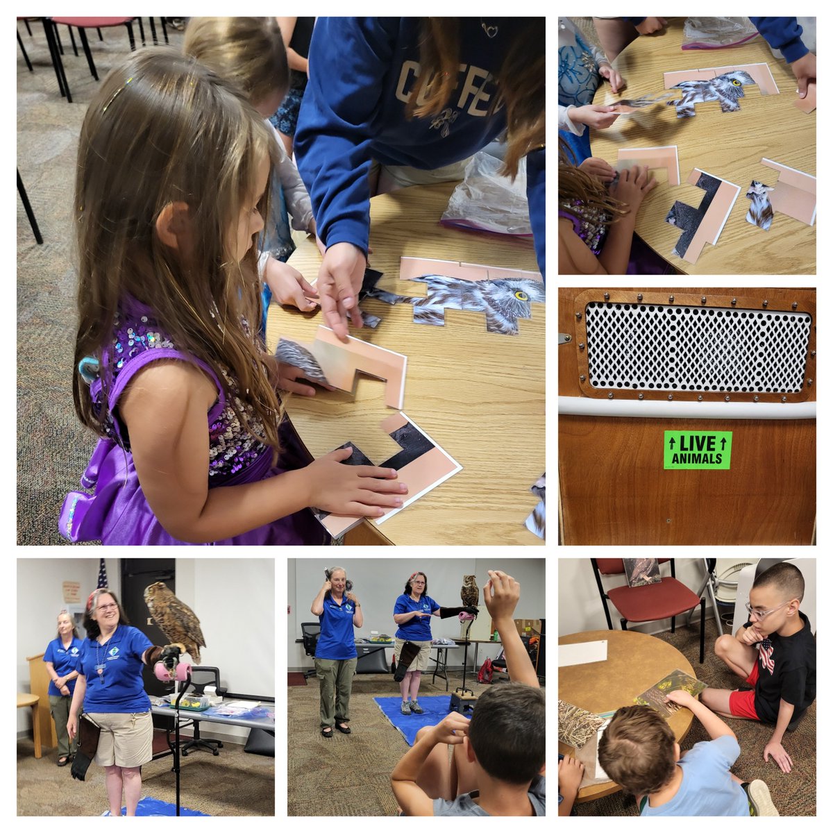 LinPubLibRI's tweet image. Kids learned about RI #owls from @RIAudubon educators w/ #games, #information, & Maeve the live #owl! The statewide RI Summer Reading Program is supported by RI OLIS, with funds from the IMLS, and by the Friends of the Lincoln Public Library.