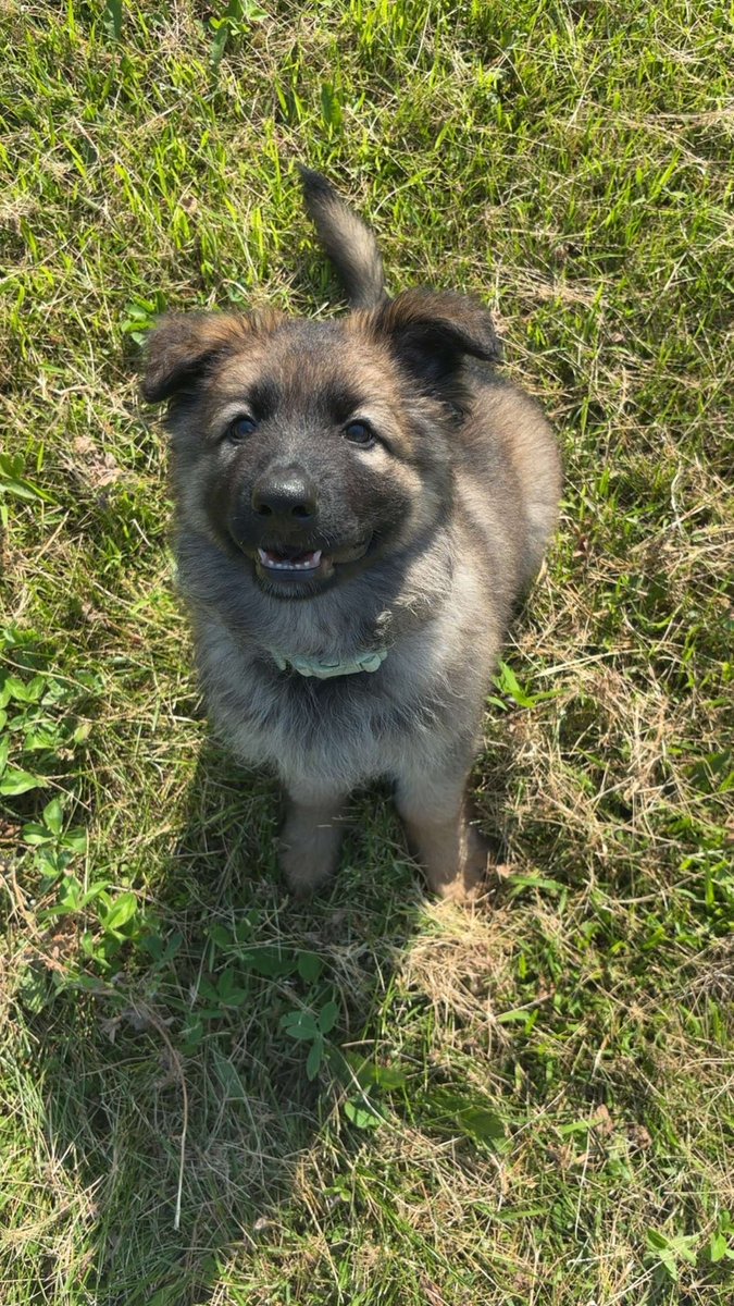 RANGER 🏋🏼🎮 tweet media