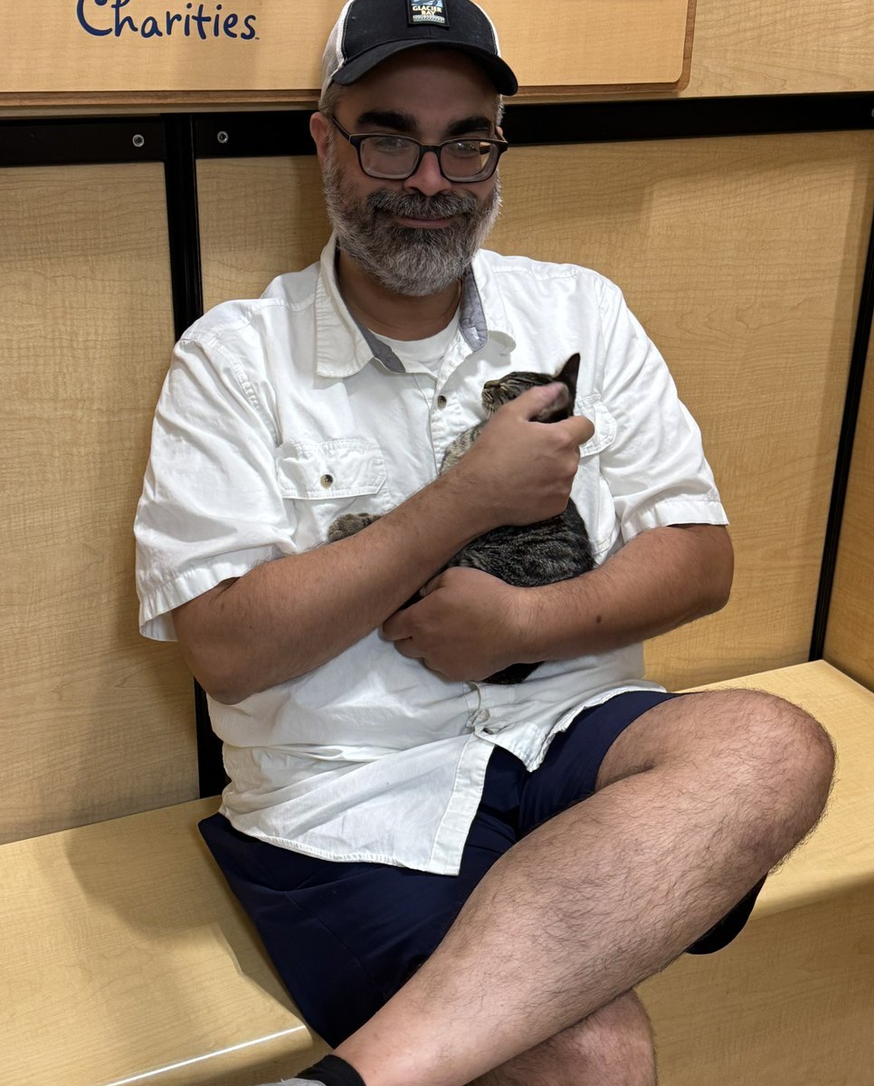 🎤🎶Chart-toppers adopted!🎶🎤
Dua Lipa, Charli XCX &amp; Ed Sheeran (not pictured, but yes, he's a ginger 🧡) from our “Singers” litter have all found their forever fans! 💕🐾 Bravo to our fab volunteers at Renton <a href="/PetSmart/">PetSmart</a>!

#GoodMewsTues #PurrfectPals #PetSmartCharities #AdoptLove