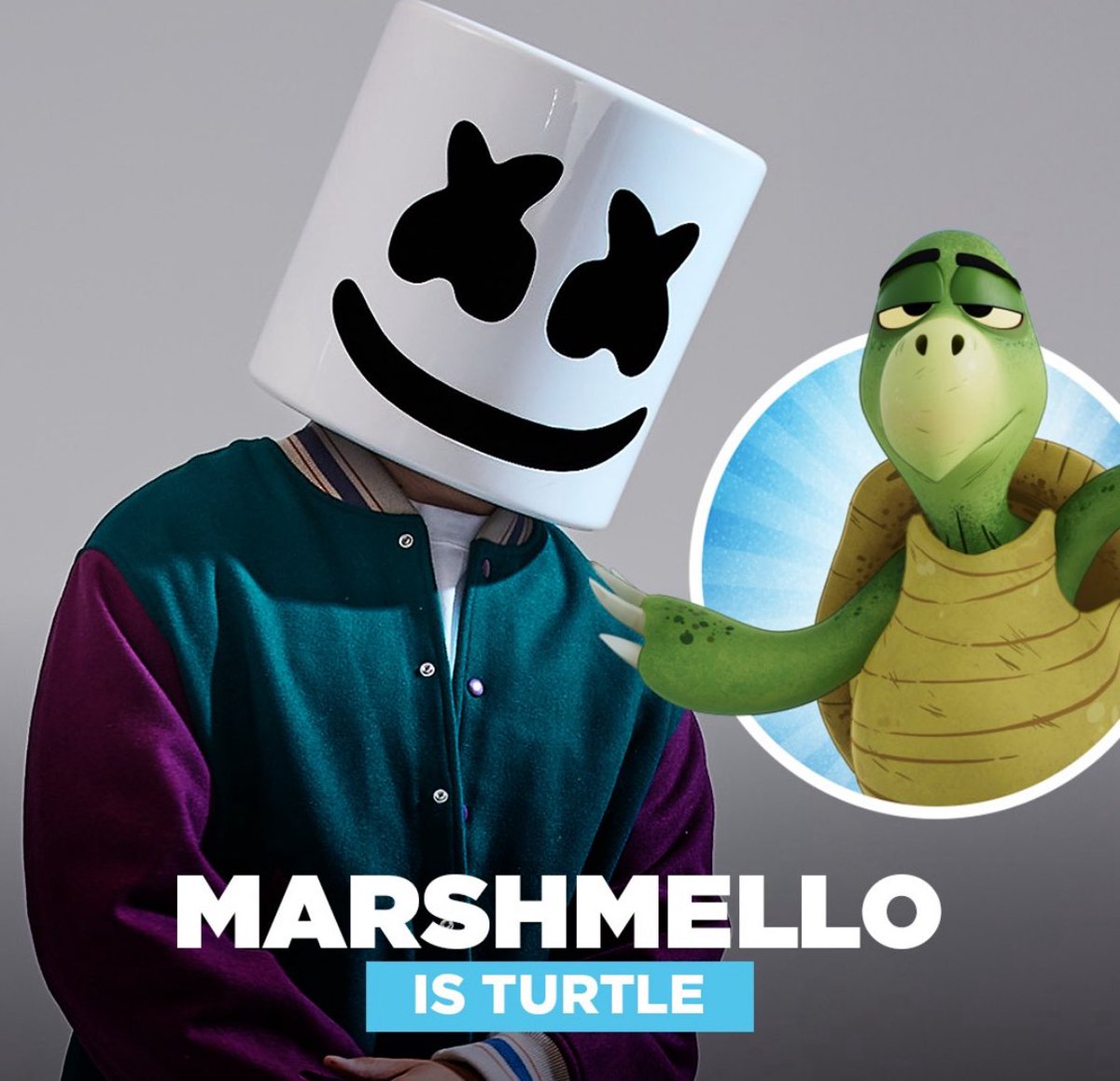 just fyi marshmello is turtle