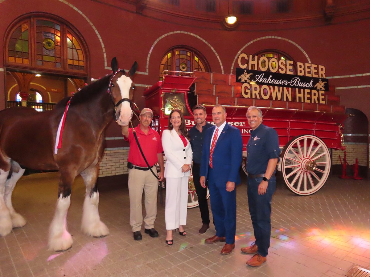 SecRollins's tweet image. Next Missouri stop of the day: touring @AnheuserBusch Brewery! 🍺 (With the famous Budweiser Clydesdales!) 🐎
This legendary brewery backs American agriculture in a big way, employing thousands, sourcing US grown grain, and serving as the top buyer of American rice.
Special…