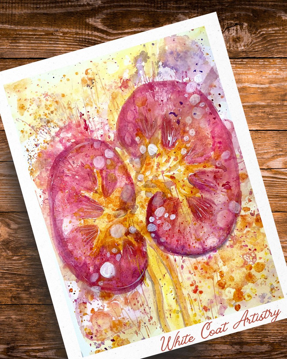 MeredithKHerman's tweet image. The kidney, watercolor, 9x12”

whitecoatartistry.etsy.com

#PathArt #WhiteCoatArtistry