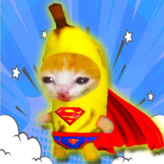 CryptoBullSheet's tweet photo. Just a happy cat, $Smile https://t.co/mNAu59SLQy