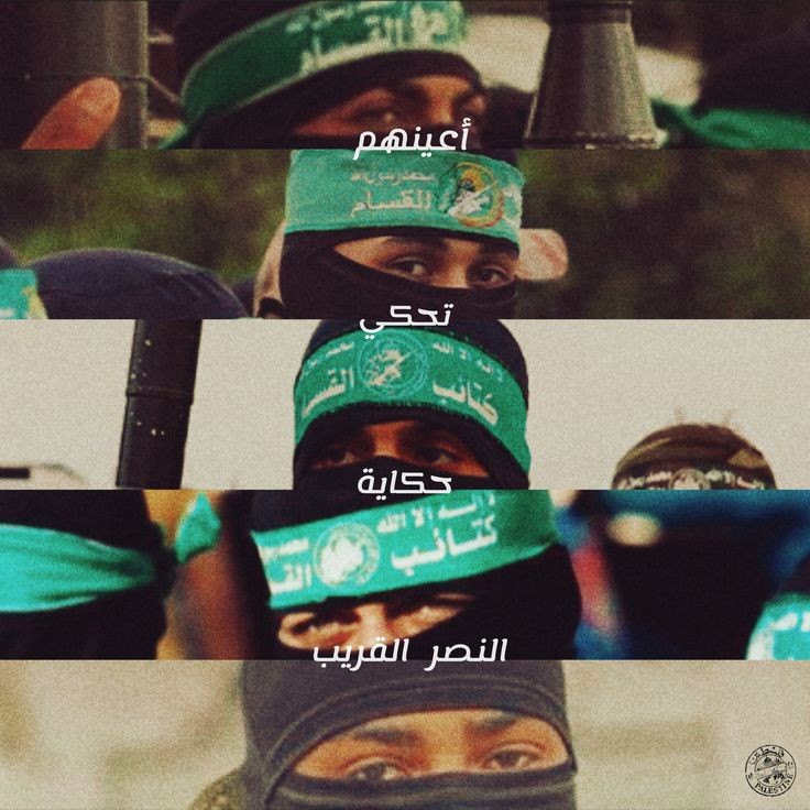 💚🔻💚