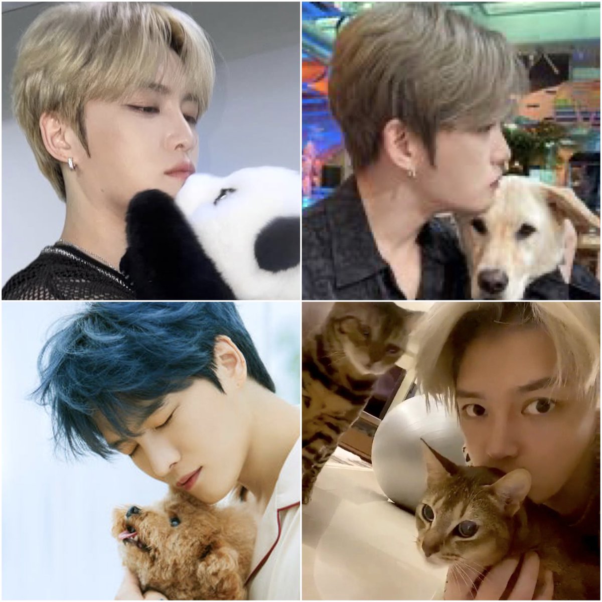 この眼差しをそそがれるアニマルたちよ
お気を確かに🤤

#ジェジュン　#JAEJOONG  #KIMJAEJOONG #김재중