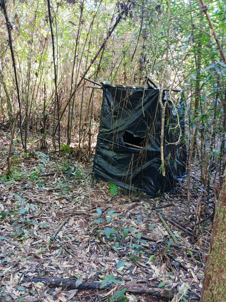 argentinaforest's tweet photo. #Ambiente #ControlAmbiental
Misiones | Guardaparques intensifican operativos conjuntos contra la caza furtiva en áreas naturales protegidas https://t.co/FbXPWdM6PL
@recamanmartin @imibiomisiones @CCMisiones https://t.co/J2ibM0OpnS