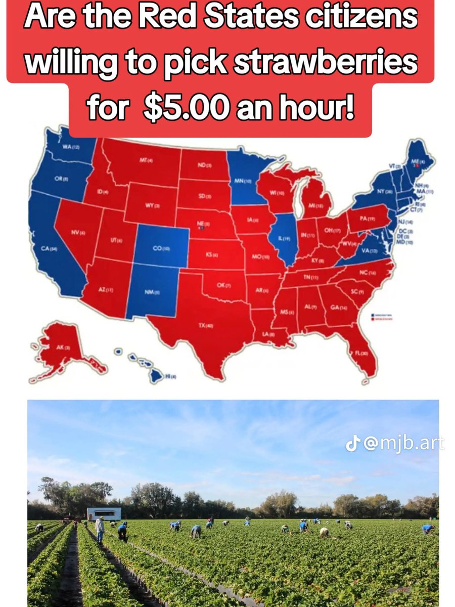 I'm just curious why the left is so obsessed with having slaves with slave wages. 

I pick my own, btw.