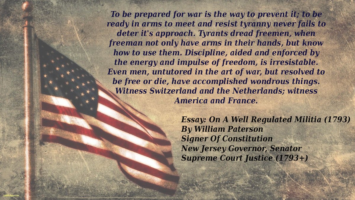 Hi Michaela!

Happy to help you out today!

The Founding Fathers privately owned artillery and warships. The British regulars at Lexington and Concord searched for private field pieces to destroy.

The Founding Fathers would have loved rifles that went pew pew faster.

Toodles!
