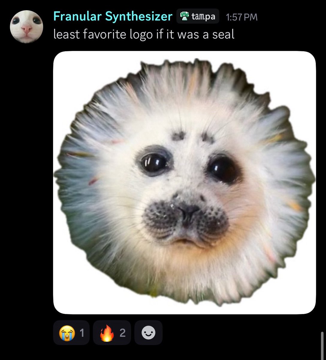 ???!?!???