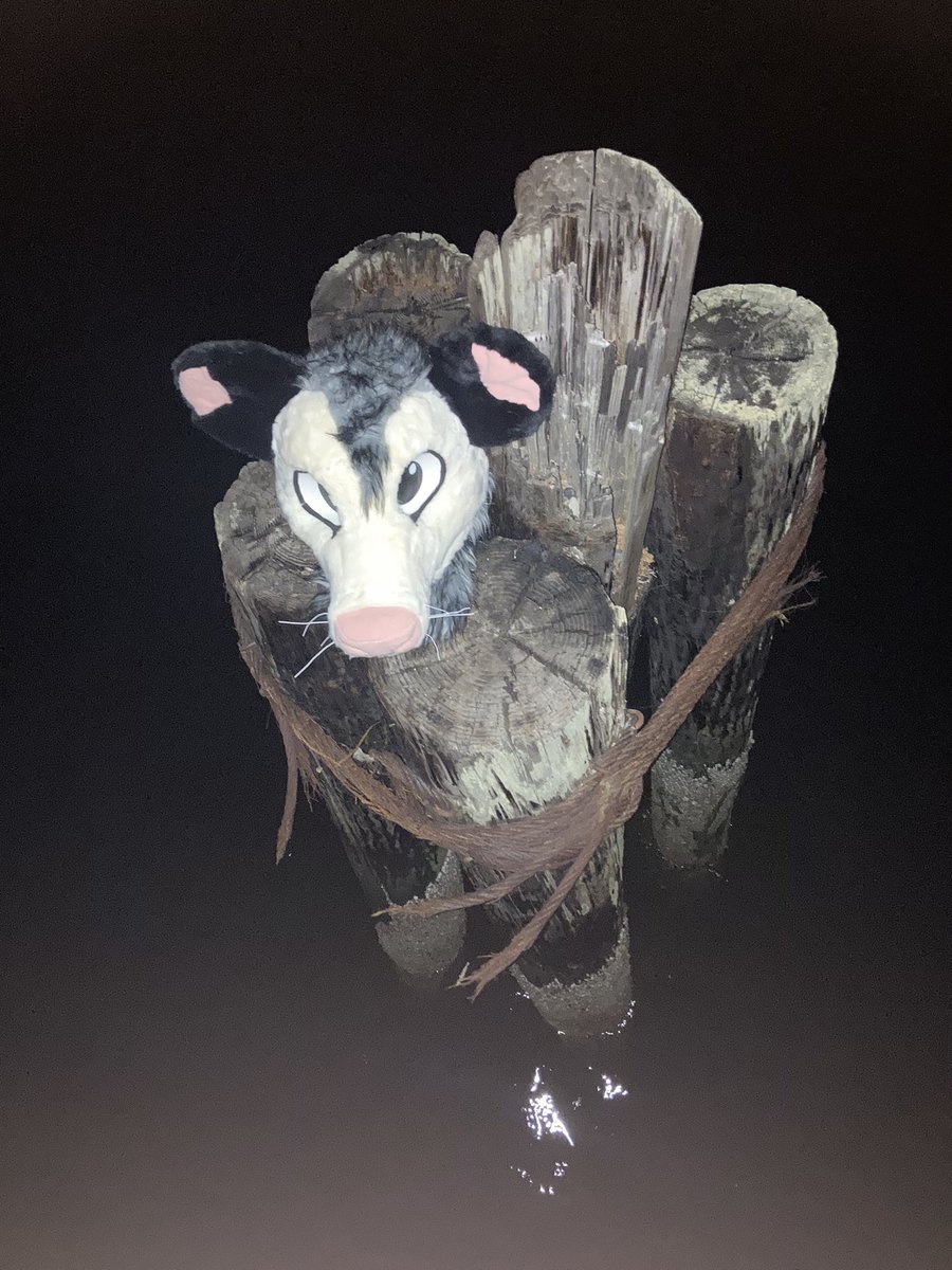 0pos_sum's tweet image. Abandoning my chud son on the pier because I hate him.