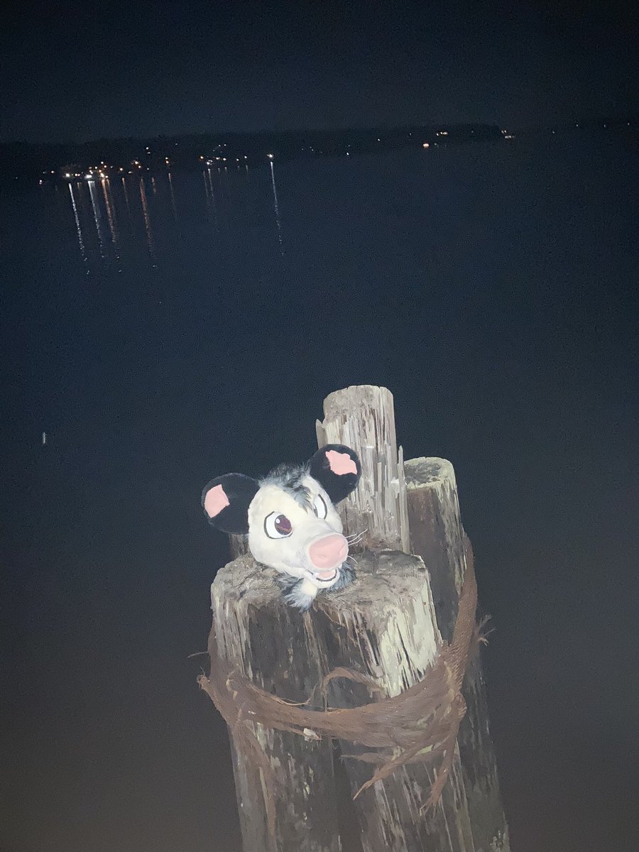 0pos_sum's tweet image. Abandoning my chud son on the pier because I hate him.