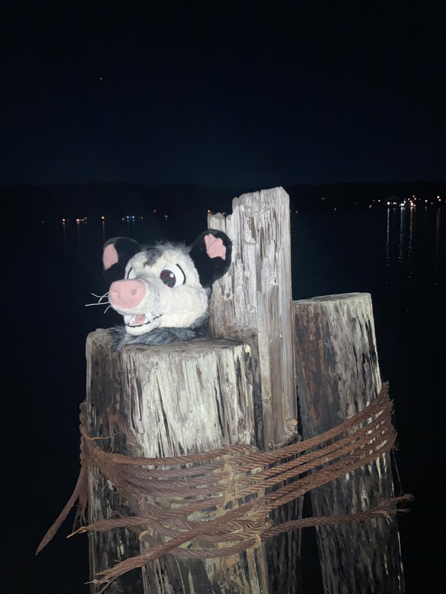 0pos_sum's tweet image. Abandoning my chud son on the pier because I hate him.