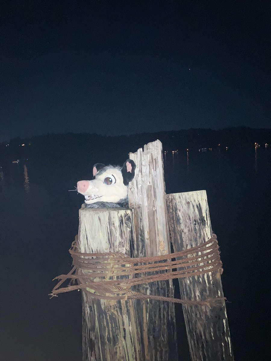 0pos_sum's tweet image. Abandoning my chud son on the pier because I hate him.