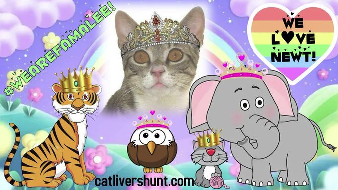 🐯GENTLE ROARS
👑Tiaras On! #TiaraTuesday
🌈In Honor of Our Very Good Friend :
🐱<a href="/NewttheCat/">Newt Liver Shunt Cat</a> 🌈
🐯<a href="/TonyTiger2000/">Tony Tiger</a>
🐘<a href="/lucyliberte/">Lucy</a>
🐱<a href="/IAmSmittyKitty/">Smitty</a>
🐱<a href="/Malaguena915/">Malagueña</a>
🐱<a href="/micandgracie/">JustGracie</a>
🐱<a href="/IAmTweeterKitty/">TweeterKitty</a>
🐱<a href="/KimHNorris/">KimSaysVoteBlue</a>
🐱<a href="/wahlacat/">Bobbie.</a>
🐱<a href="/Cool_Cat_/">Cool Cat  </a>
🐱<a href="/catgirl321/">Nutmeg's Crew🌻🇺🇦</a>
♥#WeAreFamalee #NewttheCat