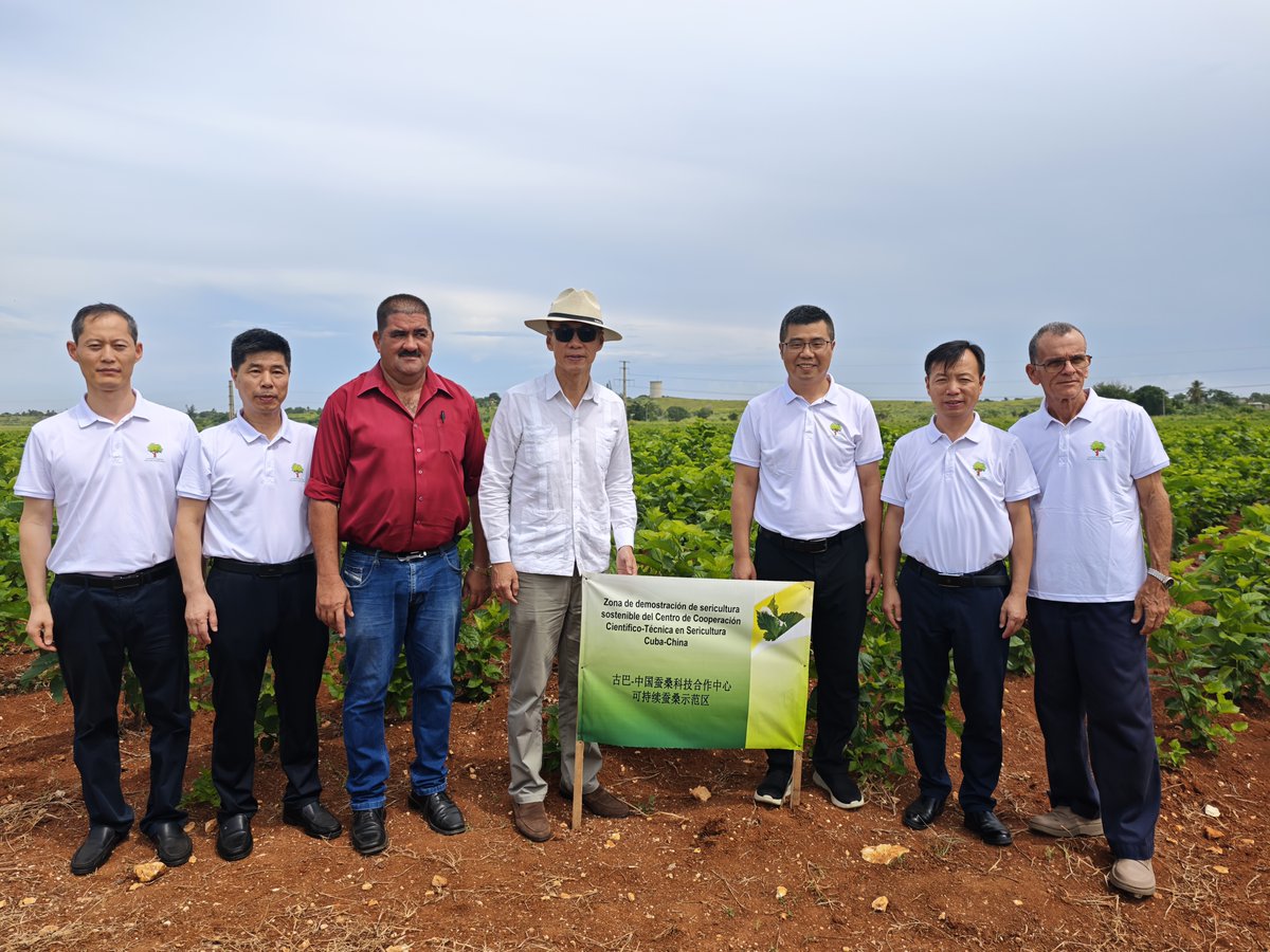 驻古巴大使华昕赴古巴植物蛋白与天然生物产品中心（CIPB）考察中古蚕桑科技合作项目。
El Embajador Hua Xin visitó al CIPB y el Proyecto de Cooperación Científico-Técnica en Sericultura Cuba-China.