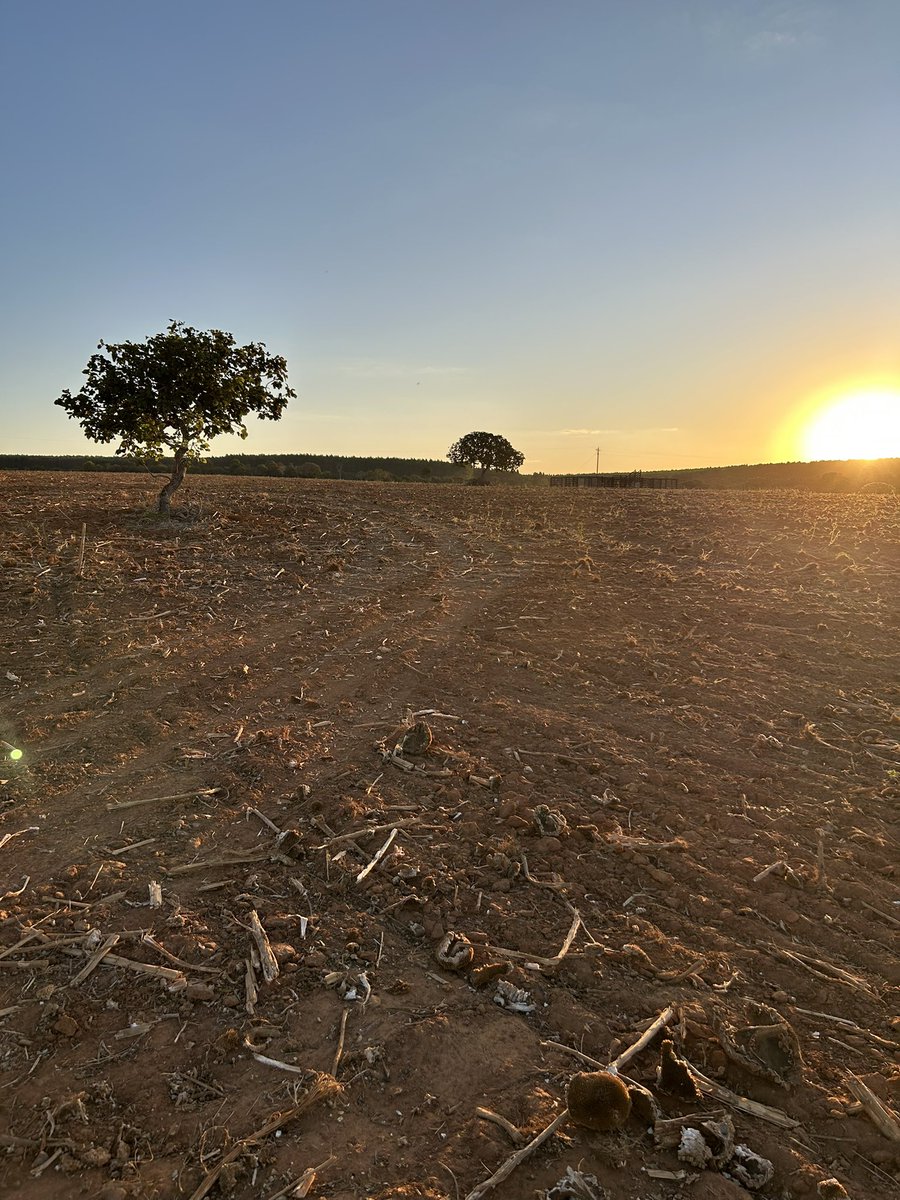 Encerrando a terça-feira… 🙏🏻✨