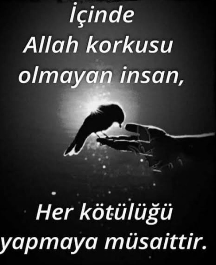 emine (@haldizemin97408) on Twitter photo 