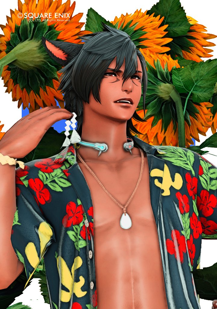 🌻🌻🌻
＃FF14 ＃FFXIV 
＃オスッテ ＃褐色オスッテ