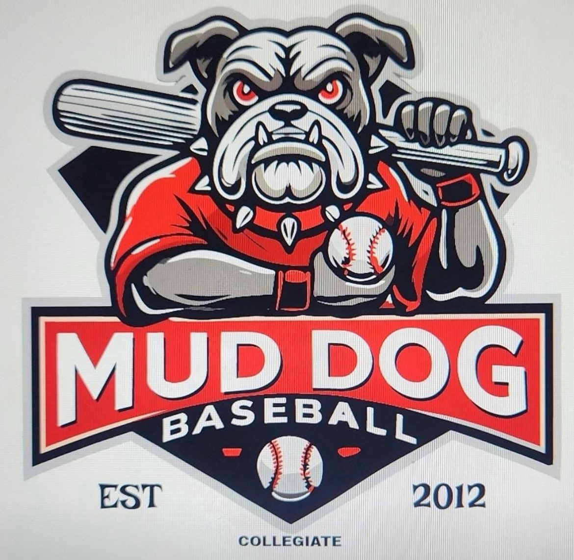 Tuesday, July 15th

Windy City v Mud Dogs
📍 Marian
⏰ 5pm