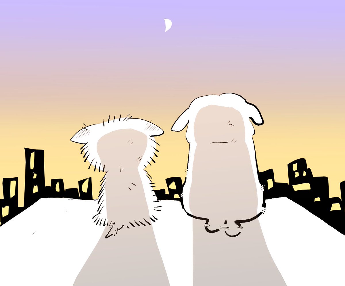 눈덩이는밤덩이 tweet media