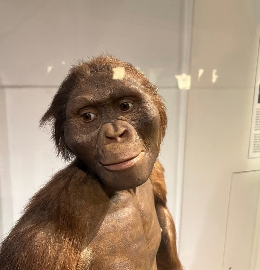 World Famous LSU Fanbulance! (@marksmaint) on Twitter photo  World Famous LSU Fanbulance! (@marksmaint) on Twitter photo