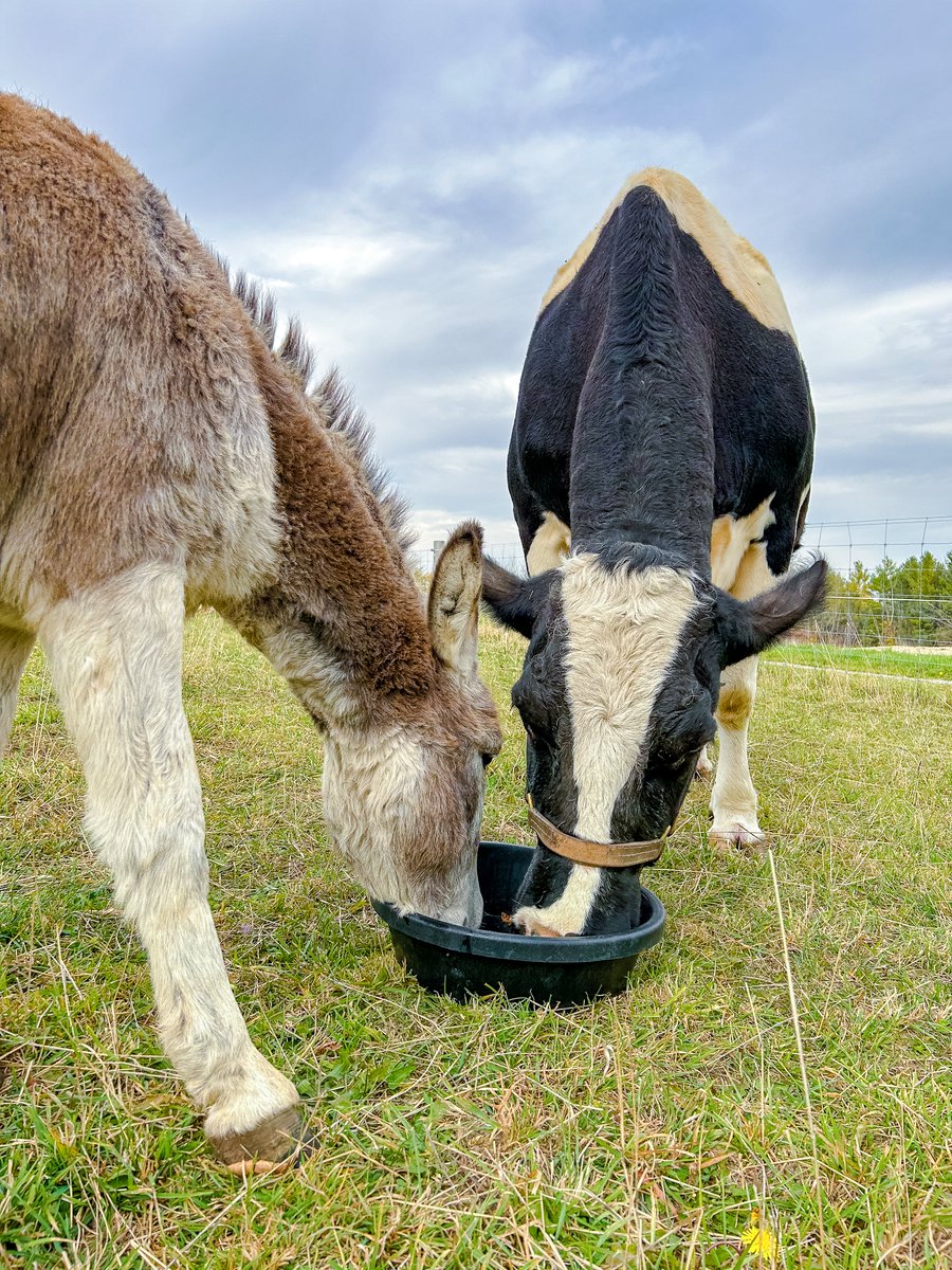 Tire Stewardship BC tweet media