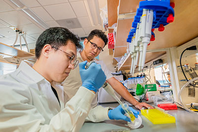 UMmedschool's tweet image. 🚨 BREAKTHROUGH: UMSOM researchers win $250K @NIH prize for tech that delivers #CRISPR across the blood-brain barrier. 🧠🧬
The Crisaptics Trans-BBB Team’s work could transform treatment for Huntington’s & glioblastoma.
🔗 bit.ly/44NGUDP
#Neuroscience #BrainHealth