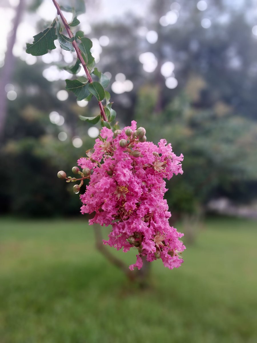 Doğru insan geldiğinde sadece kalbin değil, bedenin de huzur bulur.
Uykun düzene girer, kalbin sakinleşir, cildin parlar, miden bile rahatlar.
Enerjin yükselir, yürüyüşün değişir, sebepsizce gülümsersin.
Çünkü doğru kişi...
Sadece bir “kişi” değil, bir şifadır.