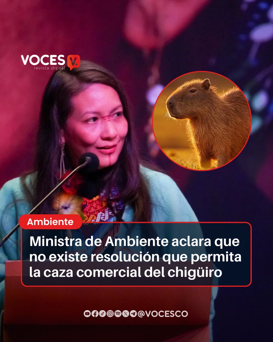 vocesco's tweet image. #Voces | “Quiero ser absolutamente clara: Como Ministra de @MinAmbienteCo NO autorizaré la caza comercial de chigüiros en Colombia. No es cierto que hay una resolución en trámite ni un proyecto de norma con ese fin”, escribió @LenAmazonas en su cuenta de X.
