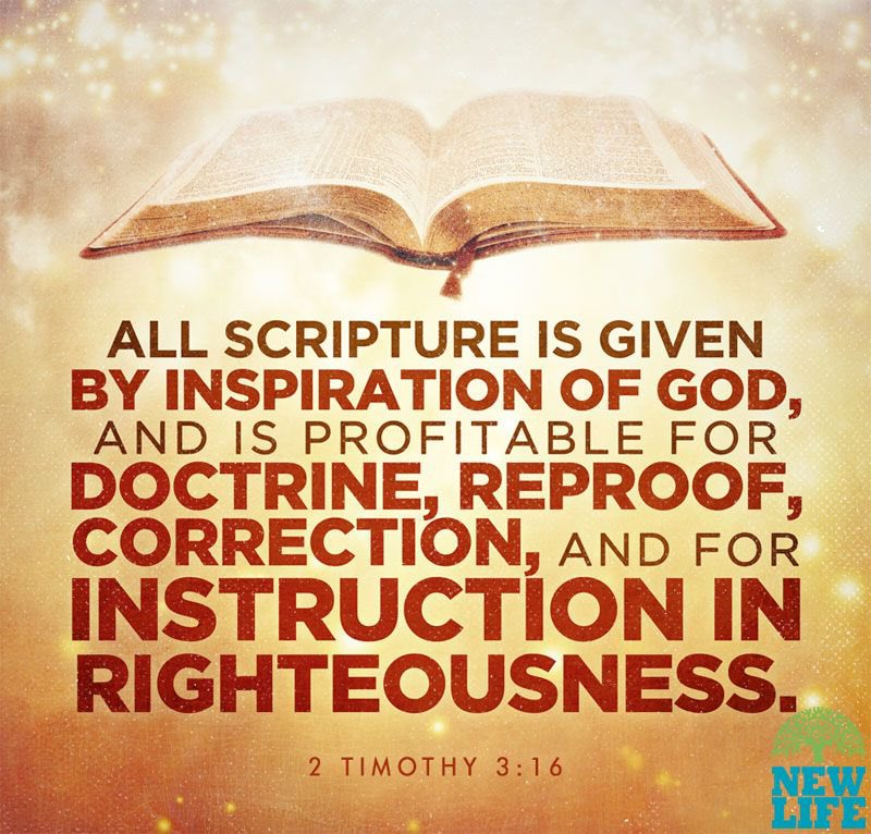 BookOfRevelatio's tweet image. Those of you who think you can deny Paul or any of the apostles and their teachings and still be worshipping the same Jesus of the Bible I'm sorry to tell ya but you can't if you deny Paul or any other apostle then you deny Jesus..