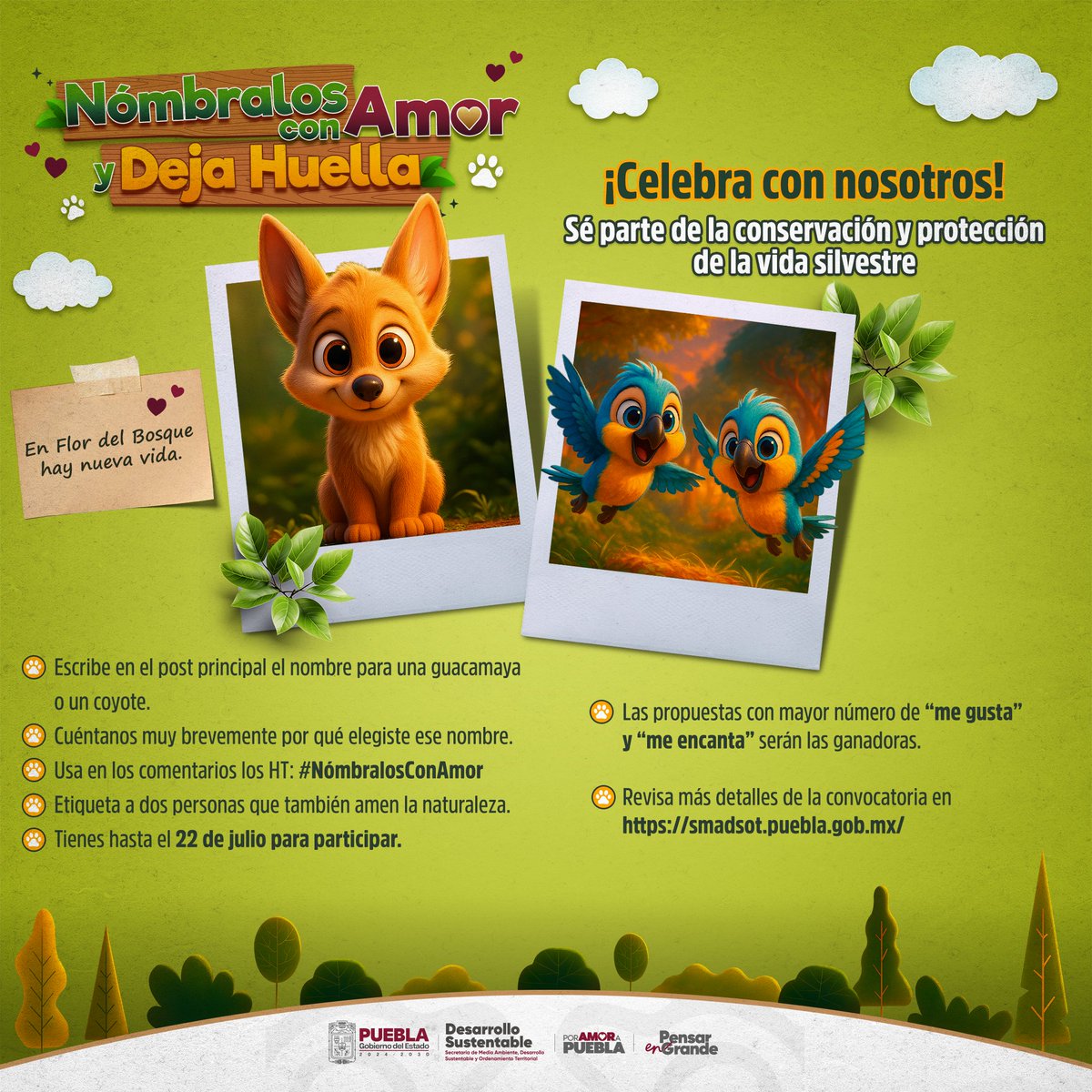 Secretaría de Medio Ambiente (@ambientegobpue) on Twitter photo ¡En Flor del Bosque nacieron nuevas vidas y queremos celebrarlo contigo! 🏞️🥳
Las crías de guacamaya verde 🦜y coyote🦊 están buscando un nombre ¡y tú puedes elegirlo!
📢 El <a href="/Gob_Puebla/">Gobierno de Puebla</a> te invita a participar en la campaña #NómbralosConAmor 🌎❤️:
1️⃣ Comenta en esta publicación ¡En Flor del Bosque nacieron nuevas vidas y queremos celebrarlo contigo! 🏞️🥳
Las crías de guacamaya verde 🦜y coyote🦊 están buscando un nombre ¡y tú puedes elegirlo!
📢 El <a href="/Gob_Puebla/">Gobierno de Puebla</a> te invita a participar en la campaña #NómbralosConAmor 🌎❤️:
1️⃣ Comenta en esta publicación