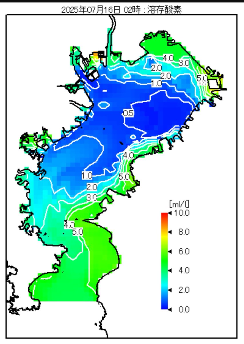 けっこう良くなってる🤔🤔‼️