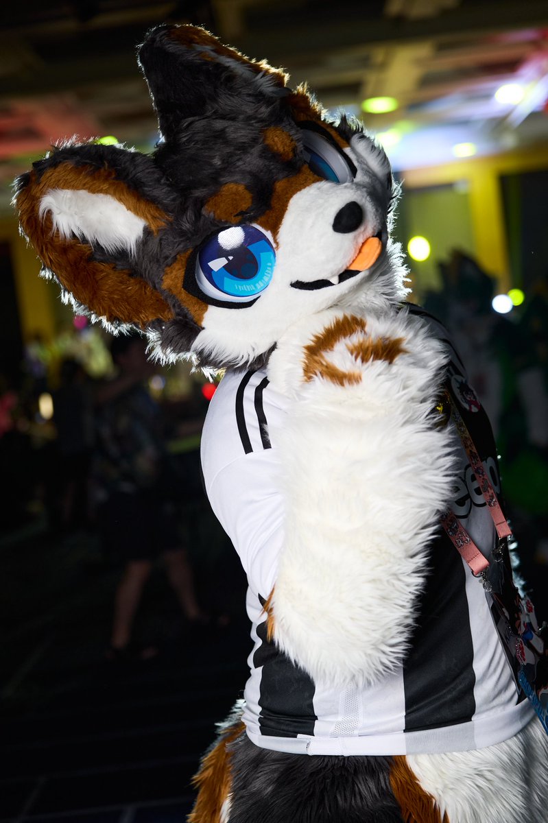 #FursuitEveryday
📸 <a href="/guni1636/">그니 GUNI</a>