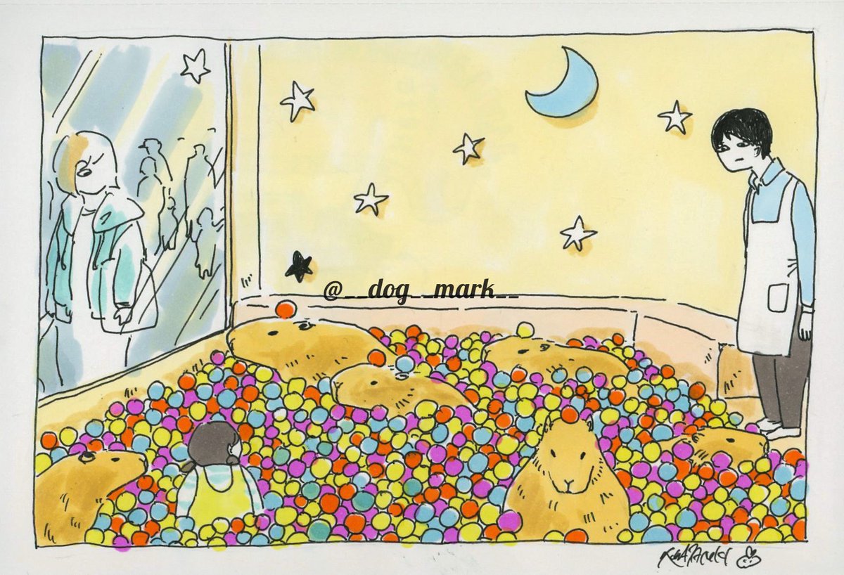 __dog__mark__'s tweet image. あの、君たち、そこは風呂ではない
