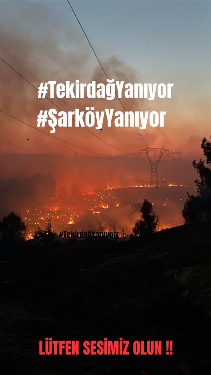 Ormanlarımız, evlerimiz, hayvanlarımız alevlere teslim. İnsanlarımız köylerinden oldu, doğamız can çekişiyor.

Dualarımız orada canla başla çalışan kahraman ekiplerle, yüreği yanan insanlarımızla. 

🇹🇷Geçmiş olsun güzel ülkemiz Türkiye’miz.

#TekirdağYanıyor #ÇanakkaleYanıyor
