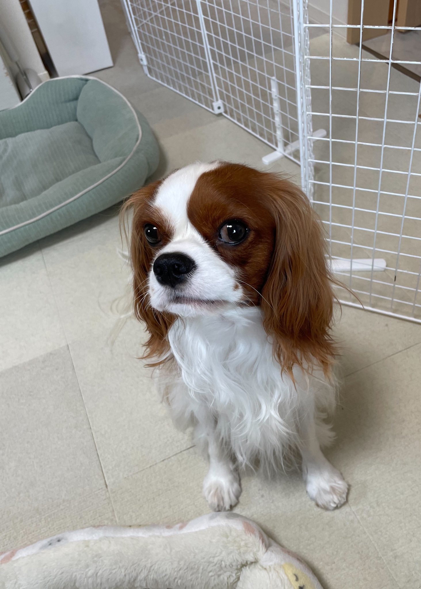 アルくん ウブロ ビッグバン アエロバン キングゴールド ダイヤモンド 311