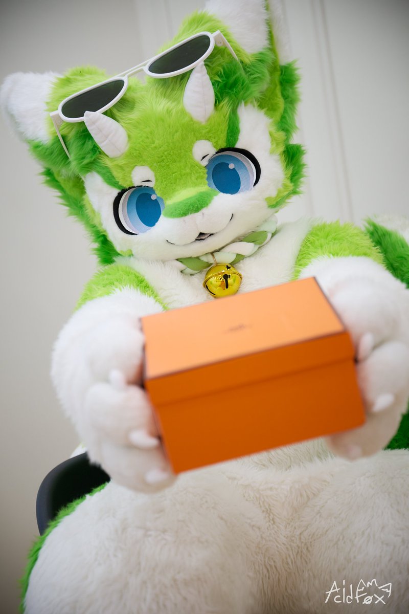 #FursuitEveryday
#Fursuit
#메론뇽_PON

😀자 선물이야!😁