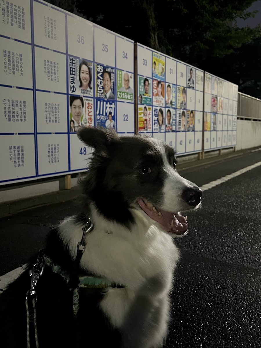 👱‍♂️「レイくんは誰に入れるの？ゲルかな」
🐶「ざけんなよ💢てか出てねーし」
👱‍♂️「ところで選挙権あるの？」
🐶「あるよ✨ぼく日本国籍だし」
👱‍♂️「でも年齢..」
🐶「うるせー」
👱‍♂️「わかりました。じゃ行こっか」

えっほえっほ..