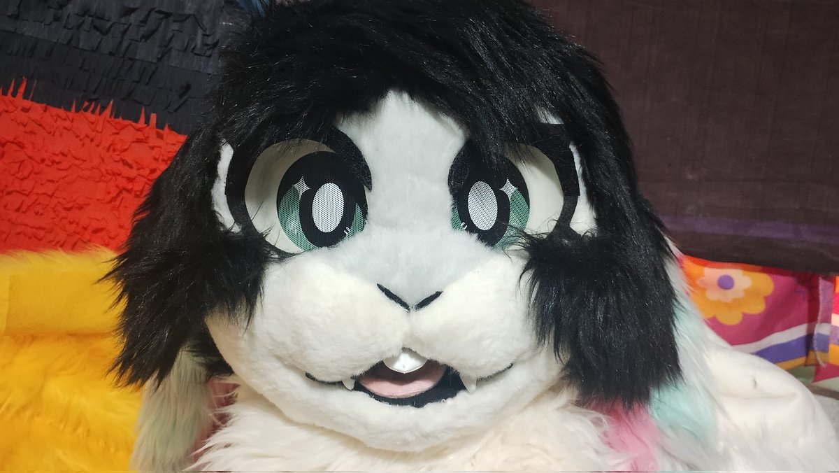 La verdad es que verlo siempre me pone feliz de lo bonito que está como lo quiero
💚💚💚