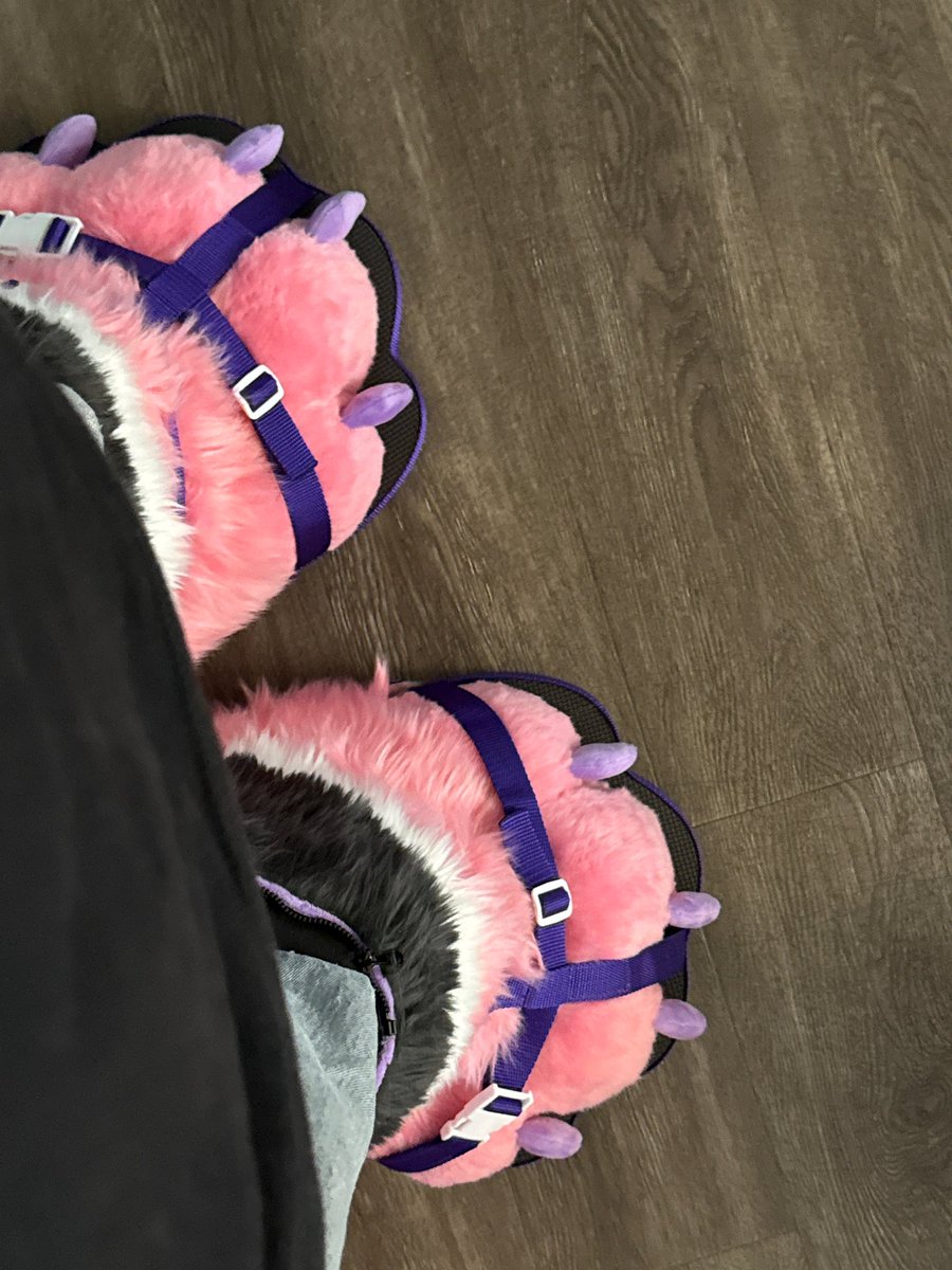 apuppyonline's tweet image. woahhh doggy shoes