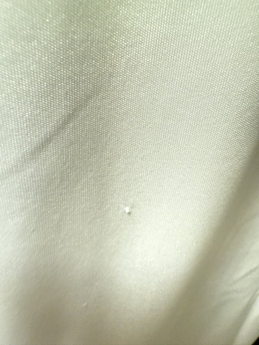 Patrick Line™ tweet media