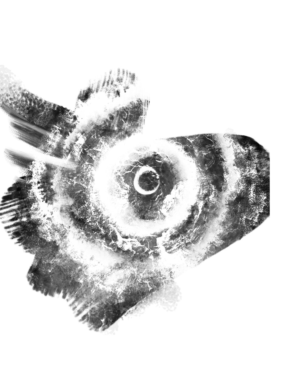 _emu tweet media