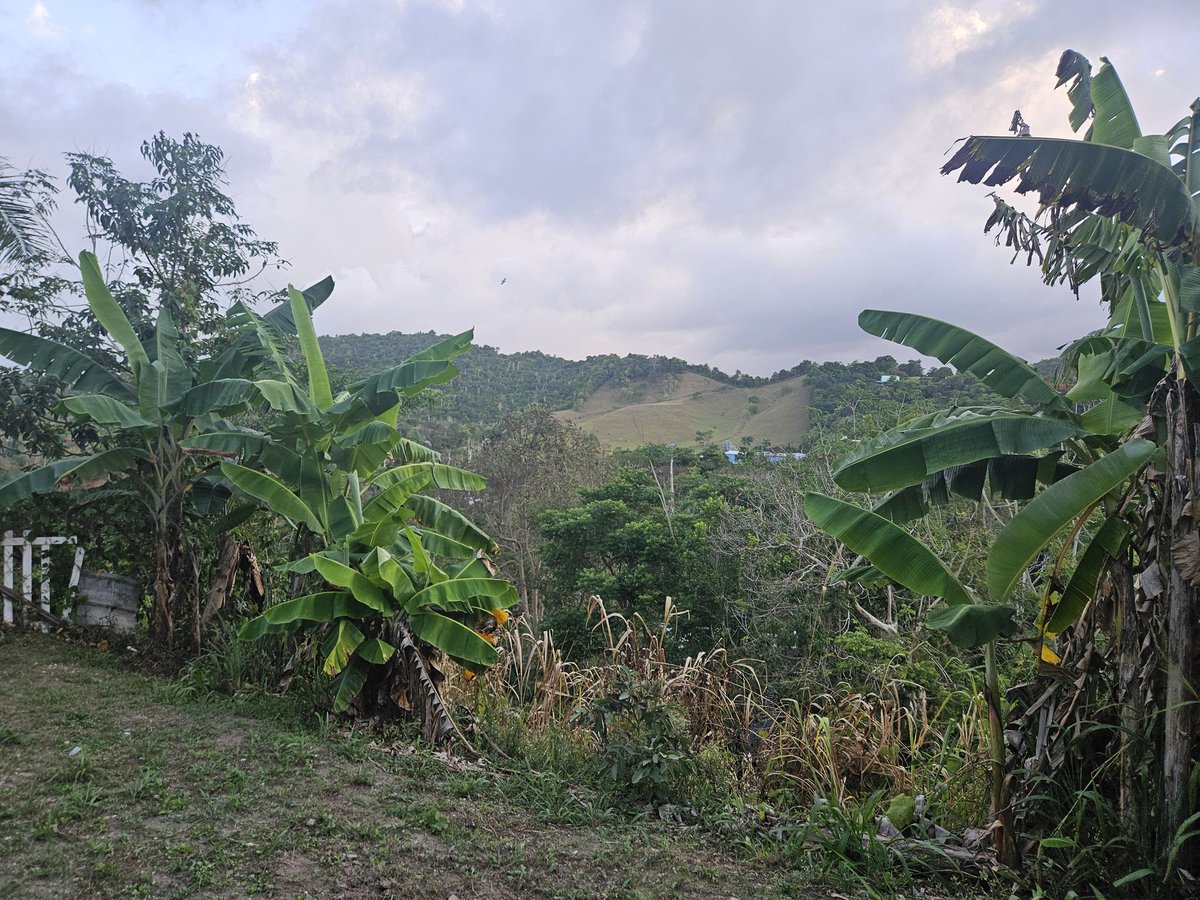 kikegarciaonli's tweet image. A los pies del maestro.

Las fuerzas, la sabiduría y la dirección vienen del maestro. A los pies de Cristo encontramos las respuestas. 

En mi casa de oración en Gurabo. Mi pesebre.

#Persevera #Ven #PredicaVerdad