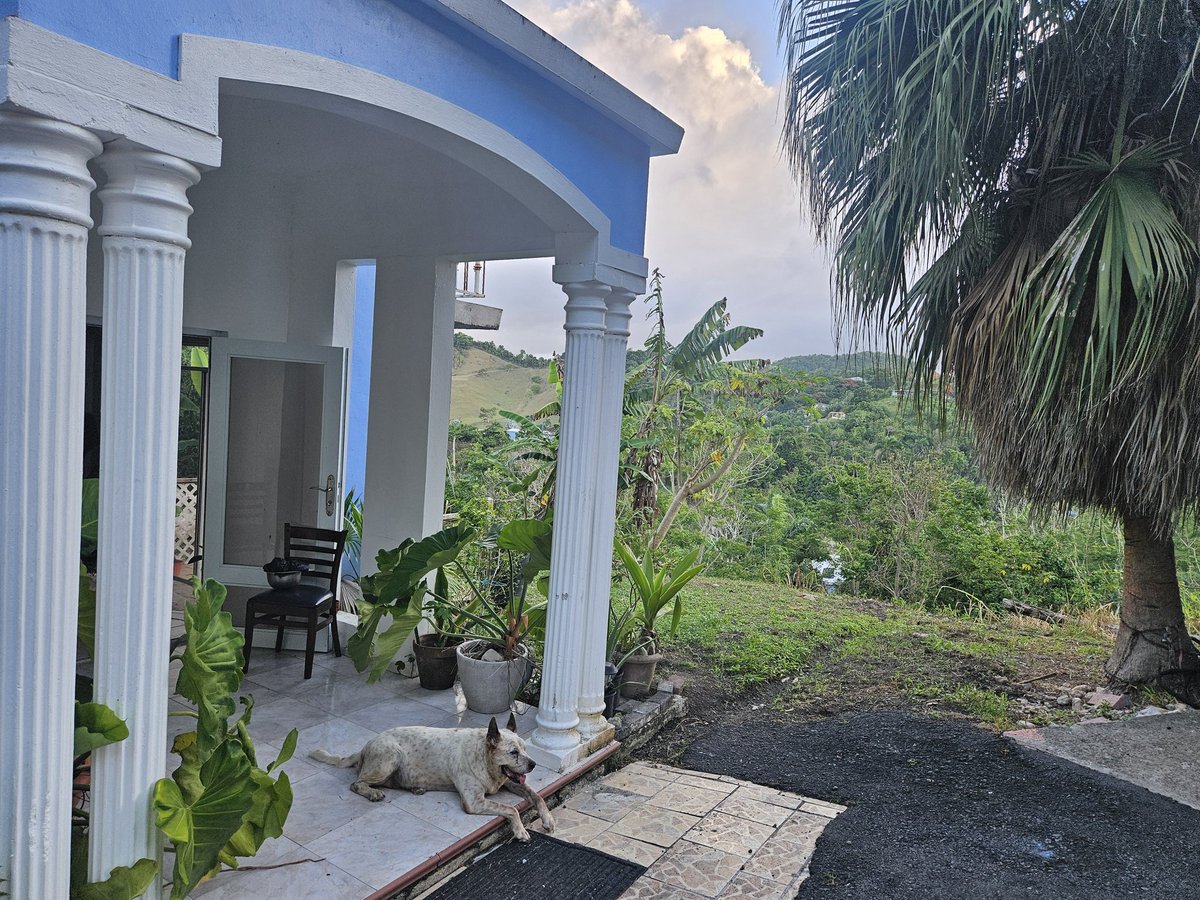 kikegarciaonli's tweet image. A los pies del maestro.

Las fuerzas, la sabiduría y la dirección vienen del maestro. A los pies de Cristo encontramos las respuestas. 

En mi casa de oración en Gurabo. Mi pesebre.

#Persevera #Ven #PredicaVerdad