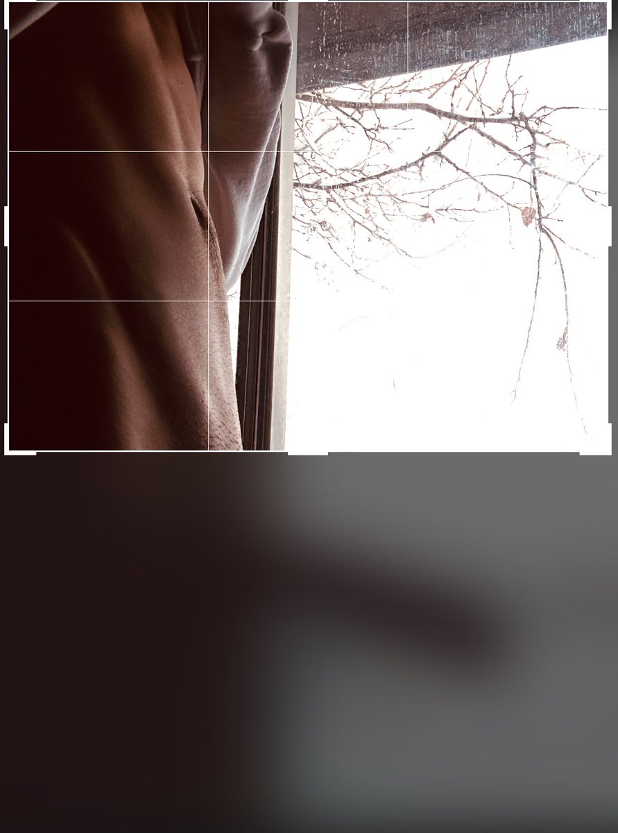 ntvpapi's tweet image. Should I post the whole thing?🙊