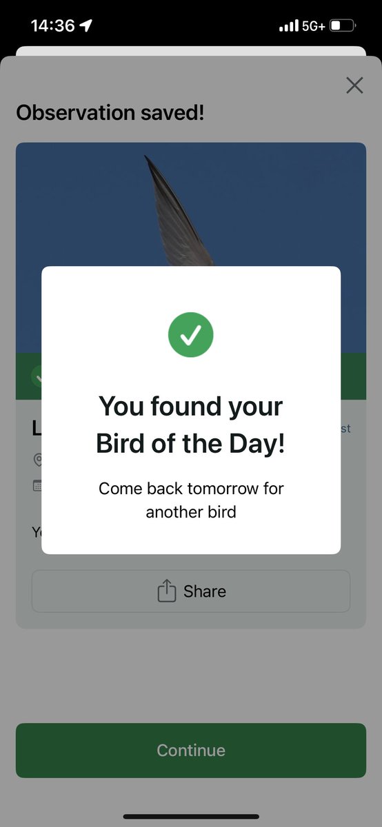 AdanDeeb's tweet photo. Saw Least Terns today! https://t.co/ILI0AYtdLv